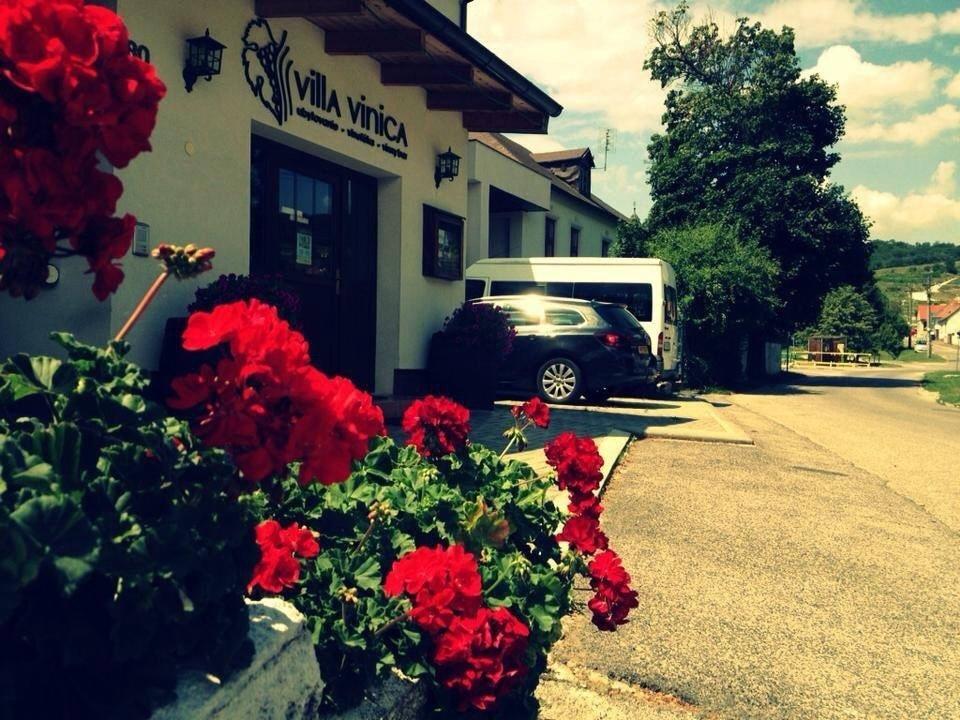 Villa Vinica Limbach Extérieur photo