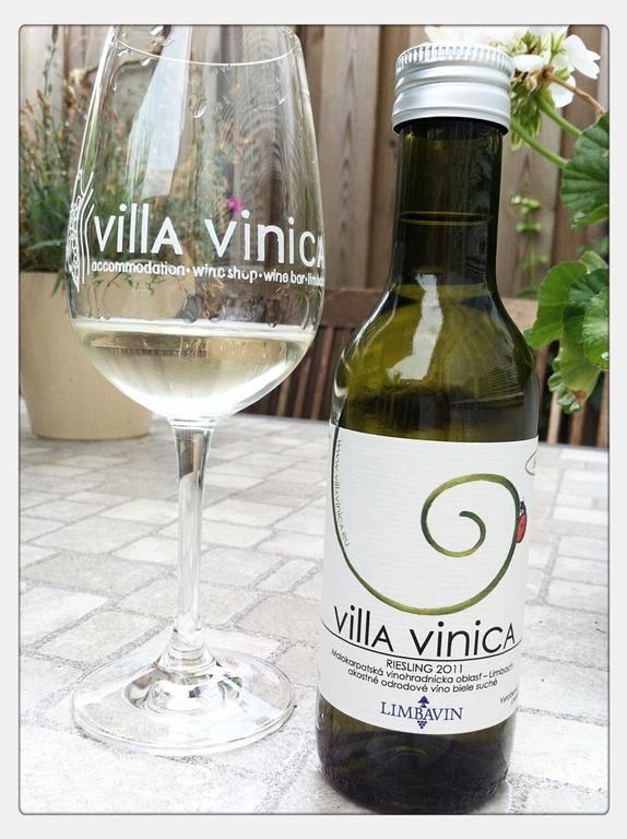 Villa Vinica Limbach Extérieur photo