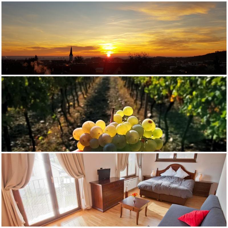 Villa Vinica Limbach Extérieur photo